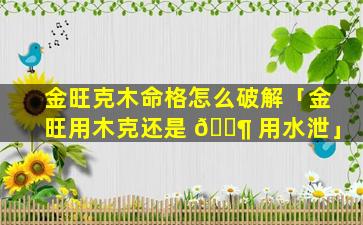 金旺克木命格怎么破解「金旺用木克还是 🐶 用水泄」